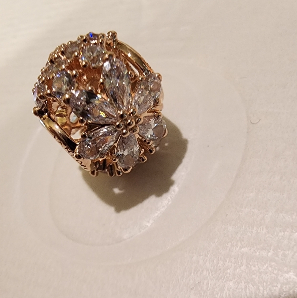 Pandora Sparkling Herbarium Cluster Round Charm - Picture 10 of 15